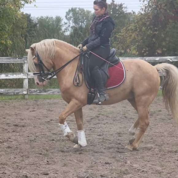 Meet your Posher, Amanda - Picture 3 of 7